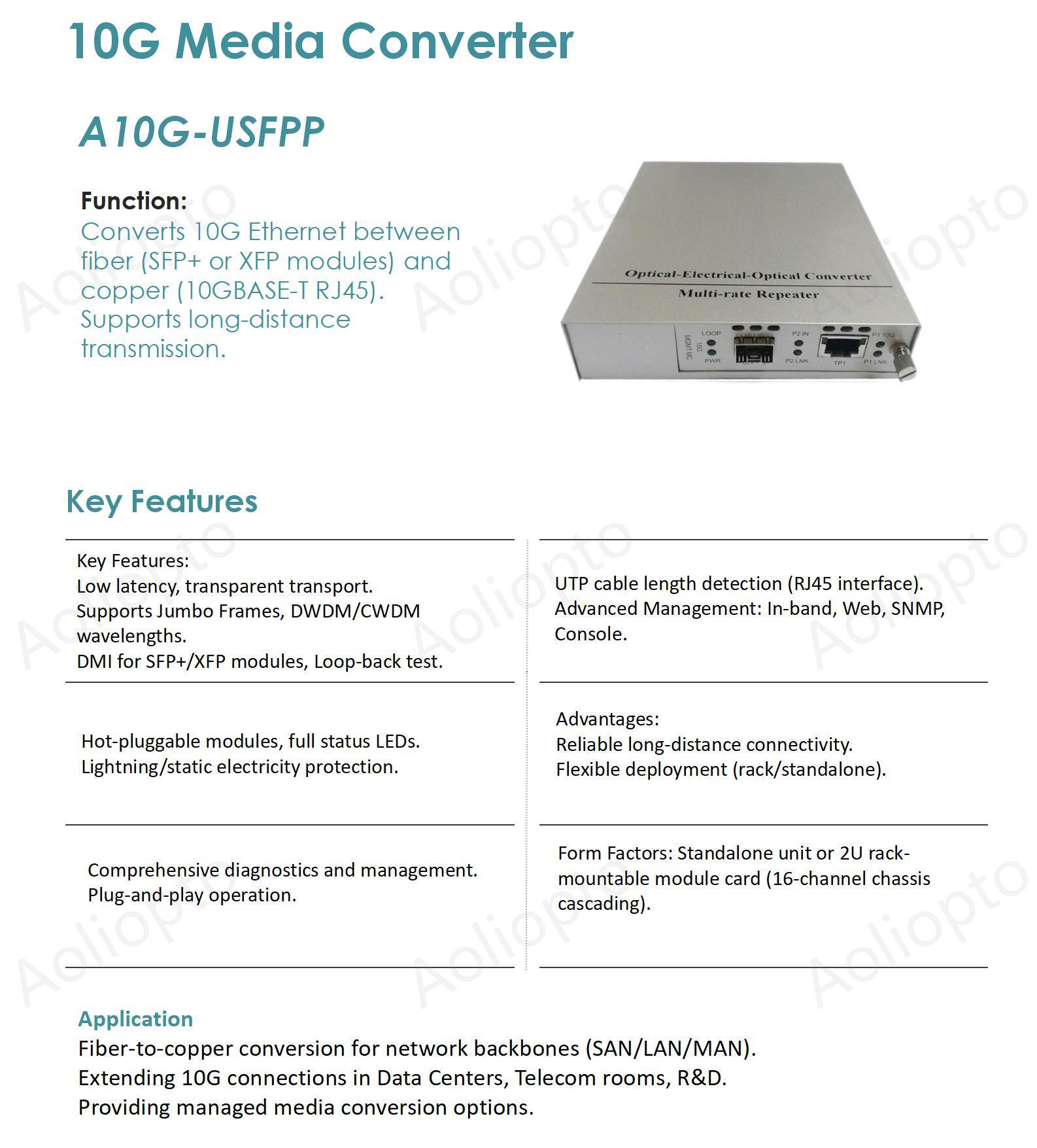 10G Media Converter(图1)